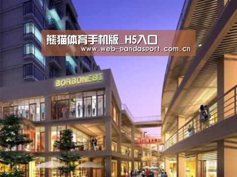 熊猫体育官网案例展示一