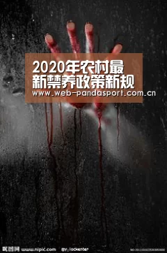 实时比分