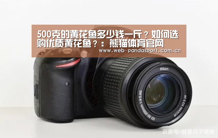 实时比分
