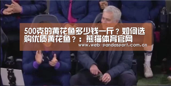 熊猫体育