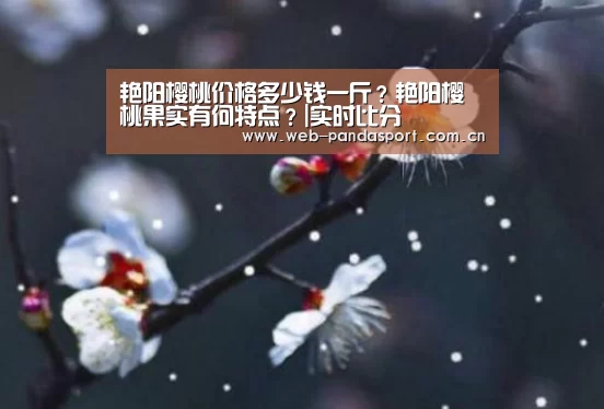 艳阳樱桃价格多少钱一斤?艳阳樱桃果实有何特点?|实时比分(图2) 实时比分
