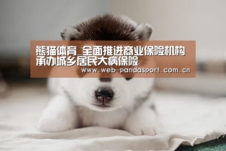 熊猫体育