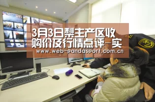 实时比分
