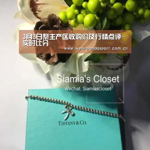 熊猫体育官网