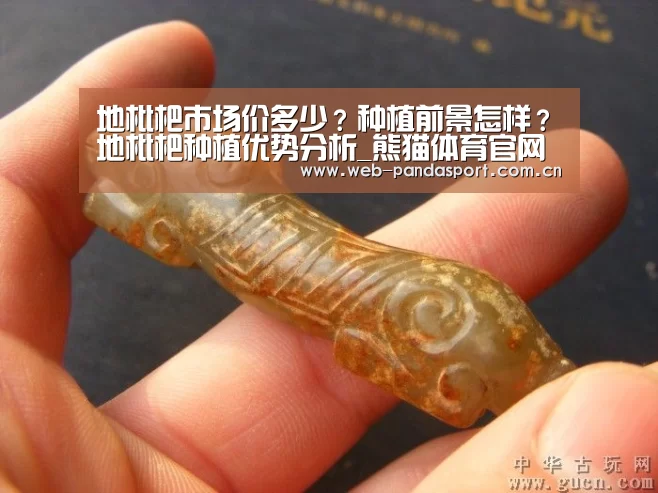 熊猫体育官网