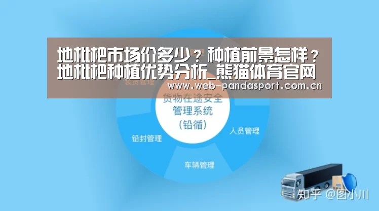 熊猫体育官网