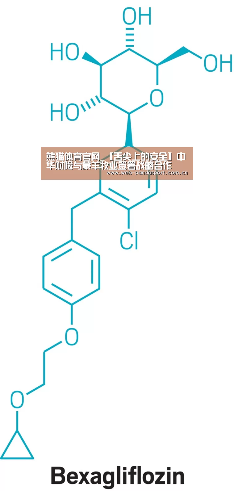 熊猫体育官网