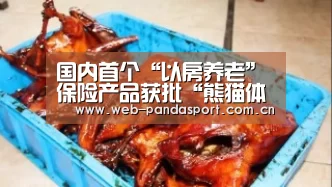 国内首个“以房养老”保险产品获批“熊猫体育平台”(图1) 实时比分