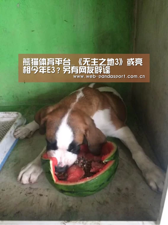 熊猫体育