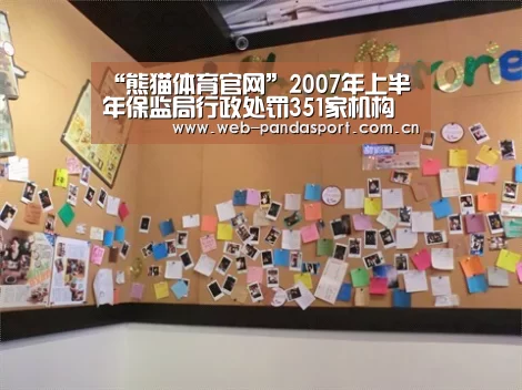 “熊猫体育官网”2007年上半年保监局行政处罚351家机构(图2) 熊猫体育平台