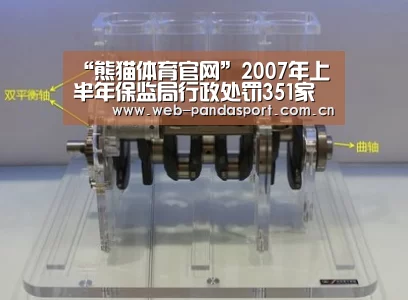 “熊猫体育官网”2007年上半年保监局行政处罚351家机构(图4) 熊猫体育平台