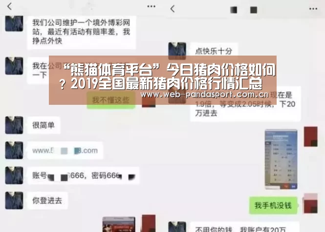 熊猫体育官网