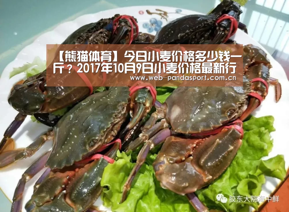 熊猫体育平台