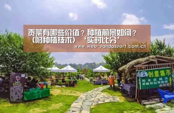 实时比分