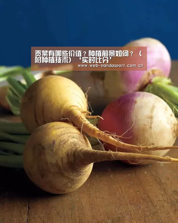 熊猫体育平台