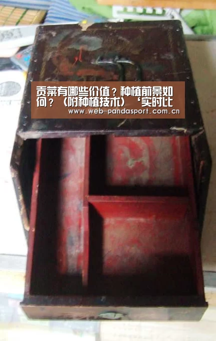 熊猫体育官网